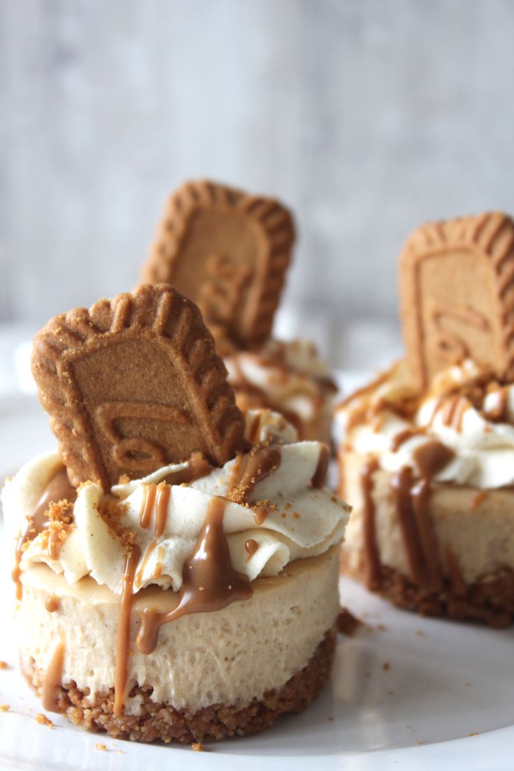 No Bake Mini Lotus Biscoff Cheesecake